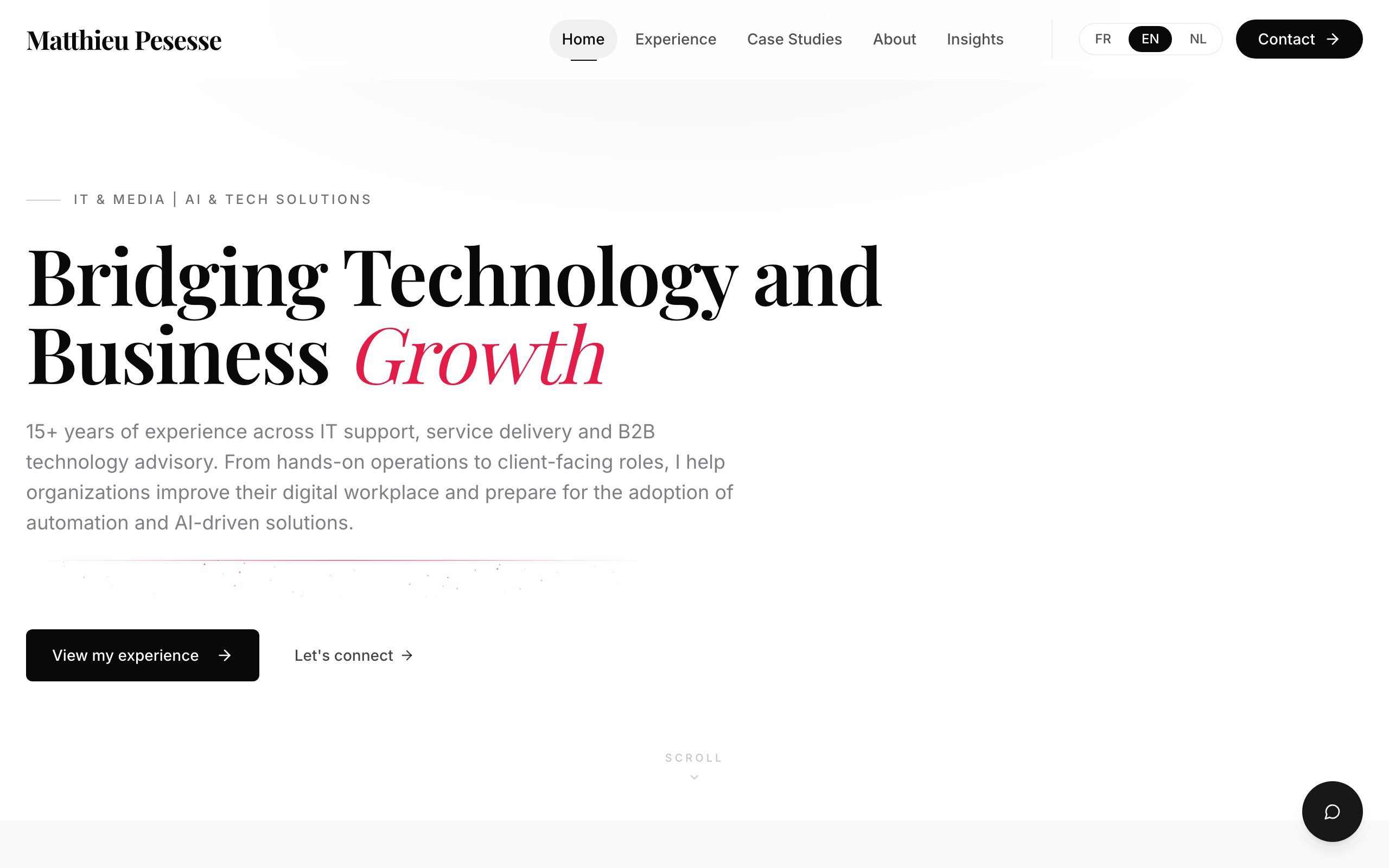 Matthieu Pesesse — screenshot